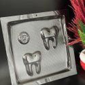 Tooth Chocolate Mold